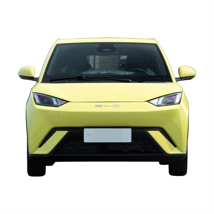 EV CAR BYD Seagull Exquisite New Energy Automobile Instead of Walking