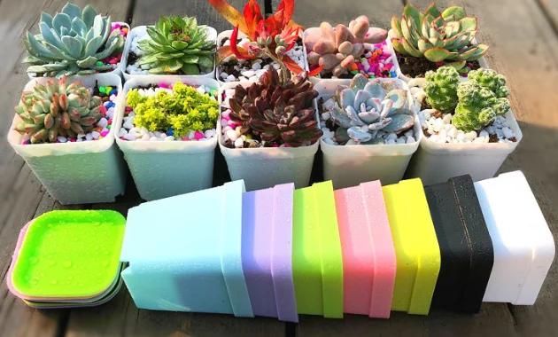 3 Inch Colorful Small Plastic Flower Pot Square Succulent Pot Seedling Nursery Pots with Saucers for Indoor Outdoor Plants