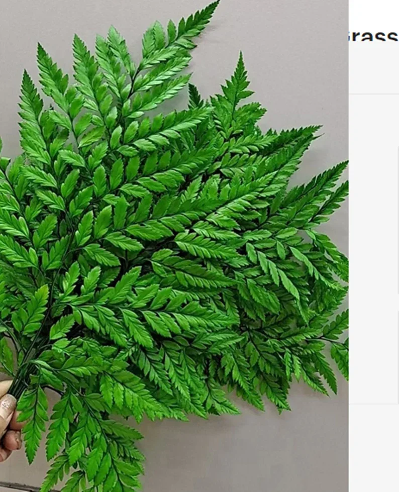 High Quality  Real Preserved Flower Natural Dried Fern Leaf  Dried Flowers For Decoration