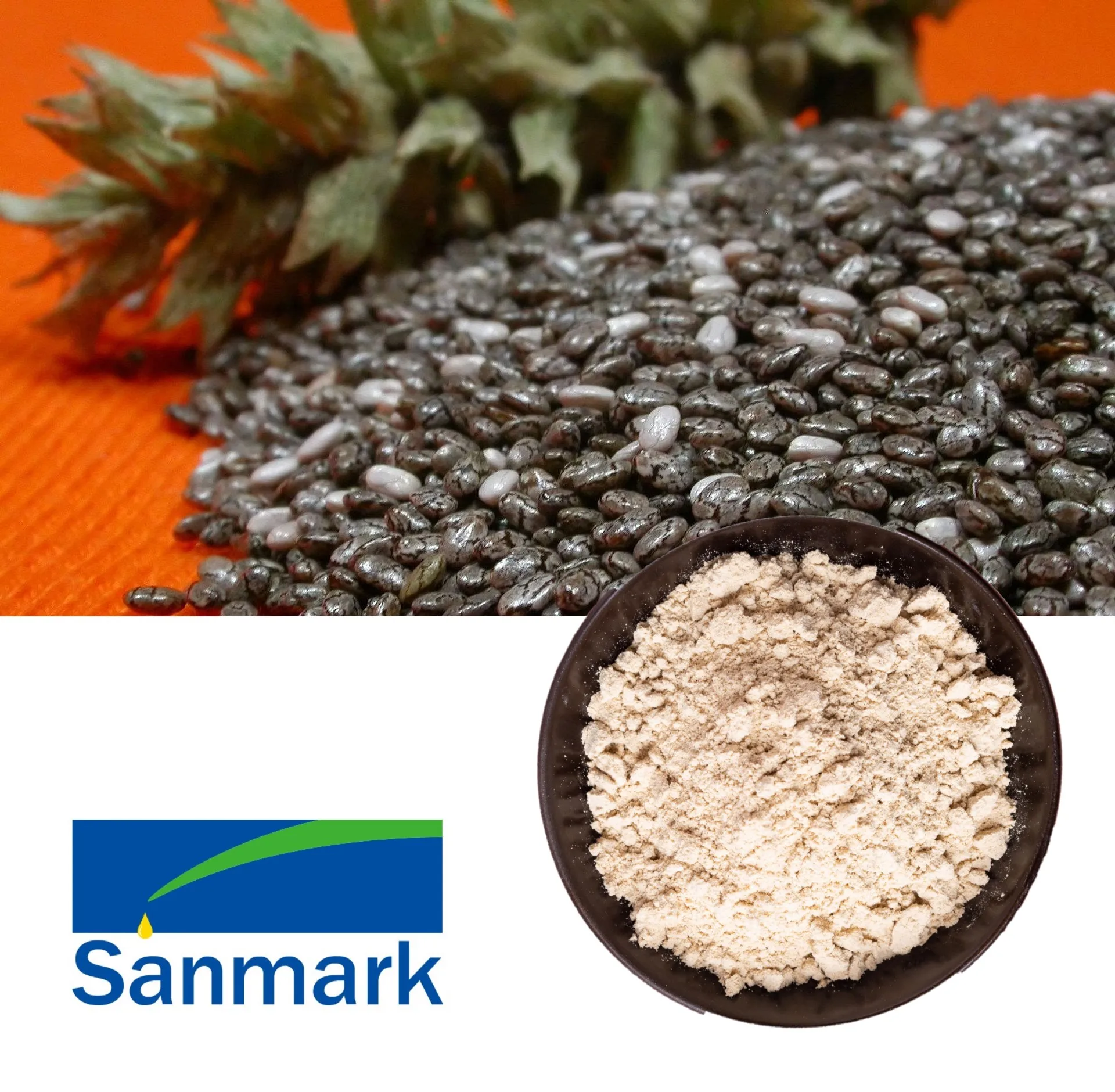 Factory Supply Healthcare Supplement High Quality 30% Chia Seed Extract Vegan Protein Powder