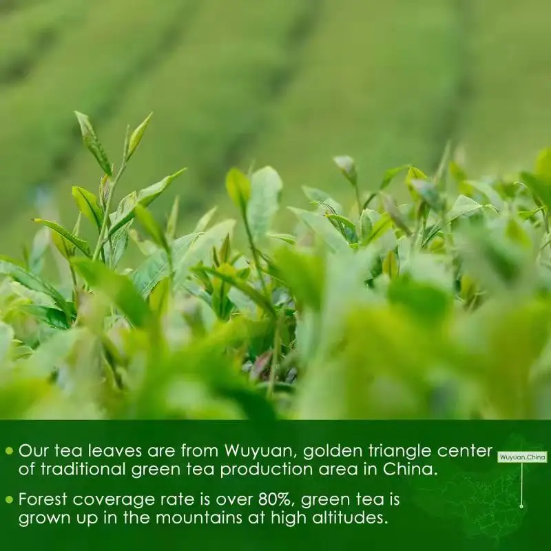 Produced In China And Exported To Japan Ceremonial Grade Certified Organic Matcha Green Tea Powder