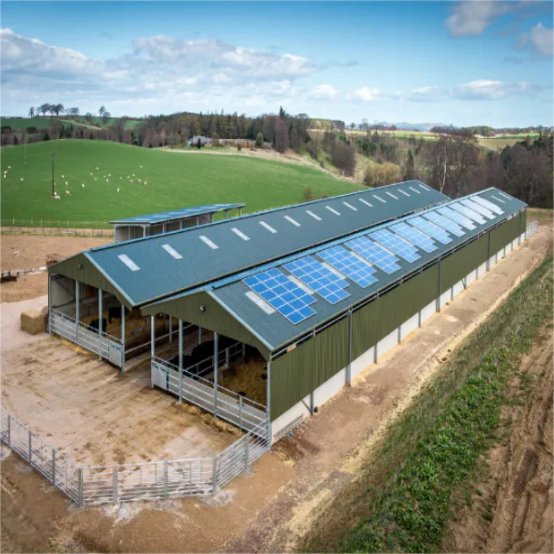 Chicken coop steel structure waterproof dog rabbit coop factory direct sales