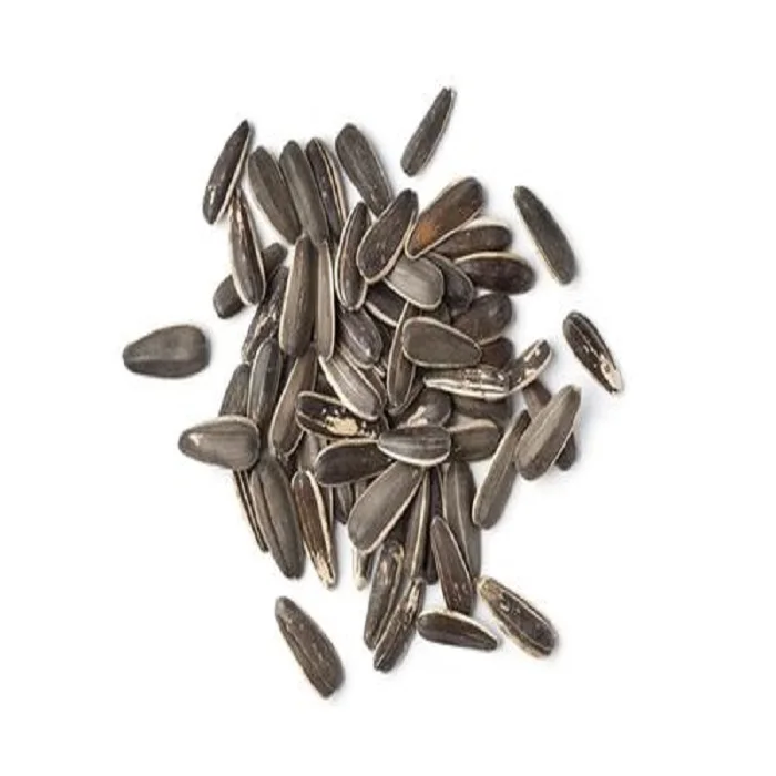 High quality organic Sunflower Seeds 601supplier