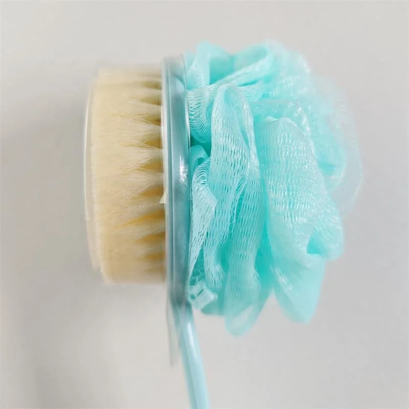 Shower body brush with bristles and loofah scrub brush