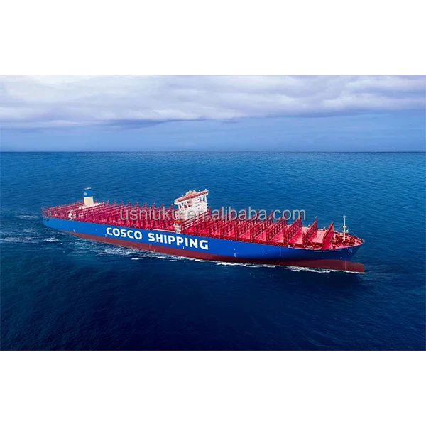 DDP Usa Sea Shipping Agent Fast Shipping Door To Door Logistics Service LCL  FCL China Shipping Agent Freight Forwarder