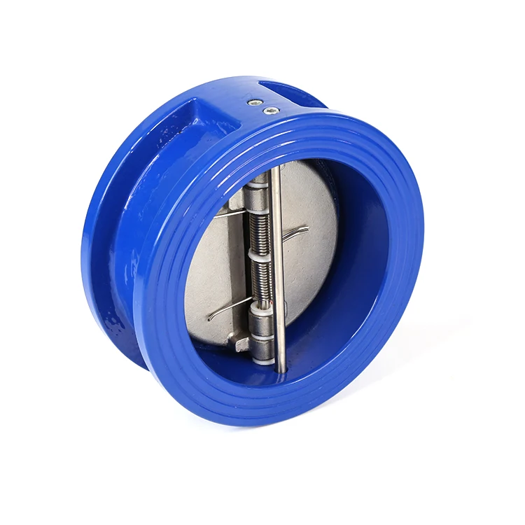 Cast Iron Dual Plate Spring Wafer Check Valve
