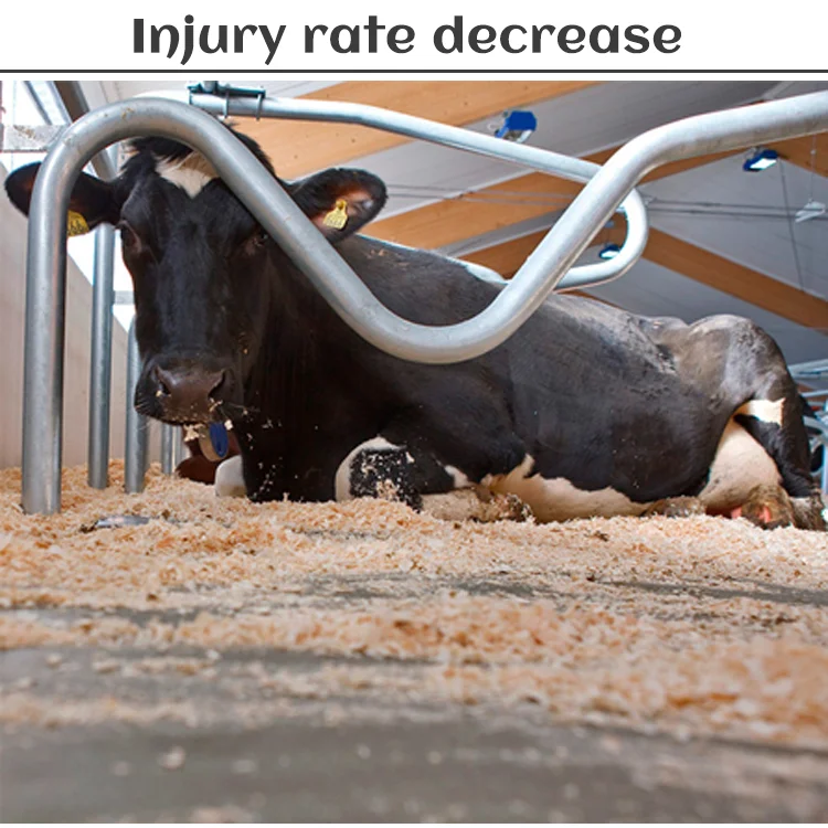 Best new Eva Cow Mats easy cleaning Livestock Enclosures Mat wear resistant Horse Stall Mats for cows horses pigs standing lying