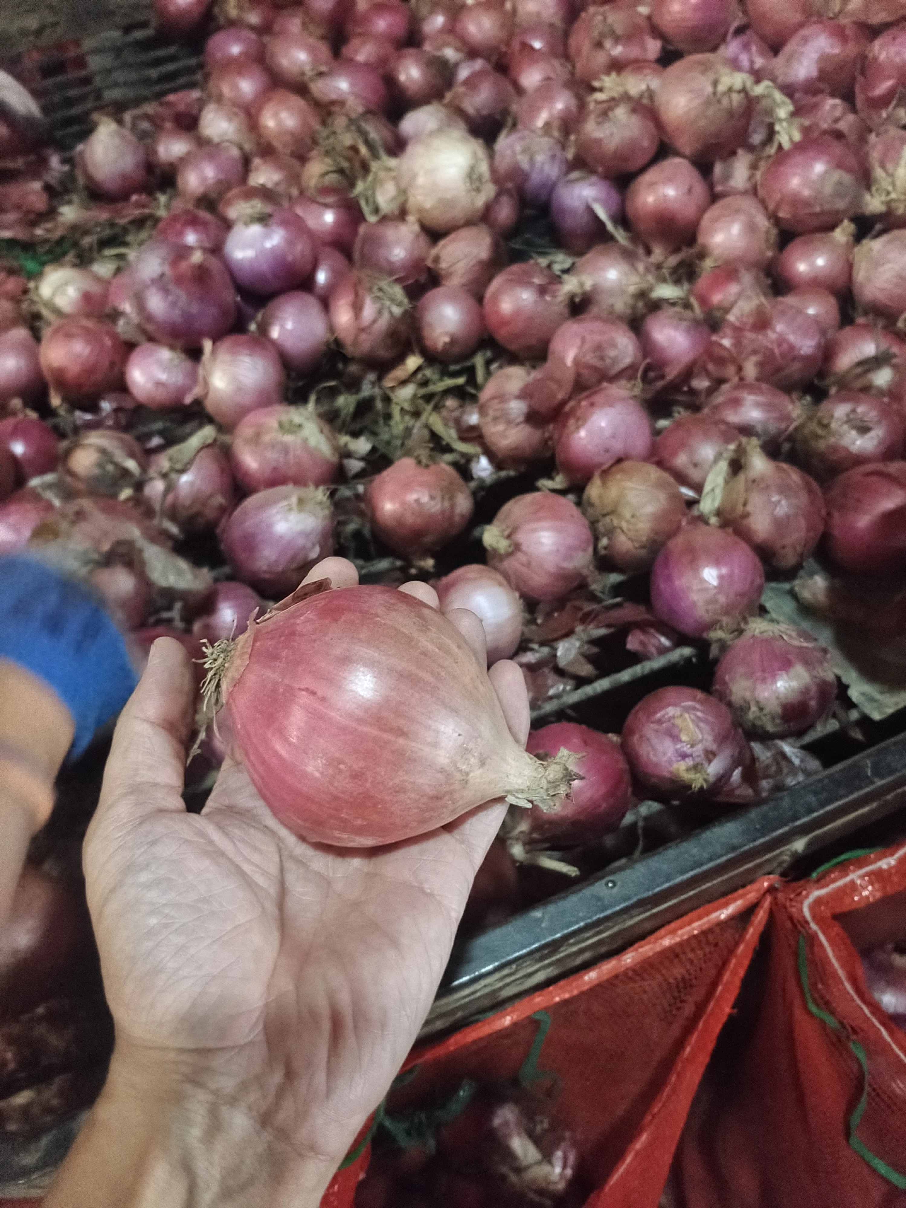 Red Onion Style GLOBAL GAP Weight Origin Type Shape Product Fresh Place Model HACCP Round Maturity Cultivation Common Peeled