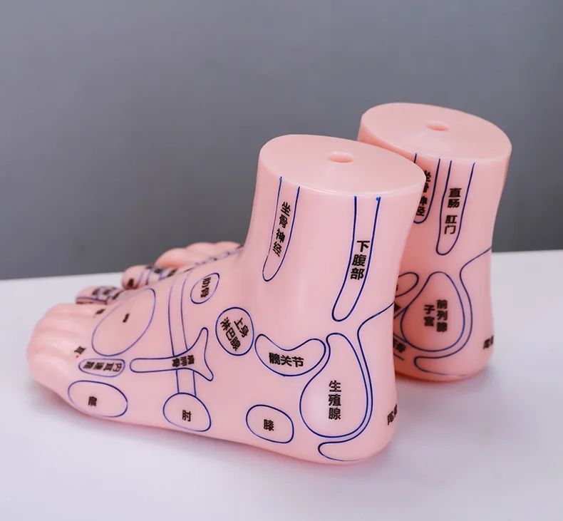 Medical students teach traditional Chinese acupuncture and massage model AIDS for feet