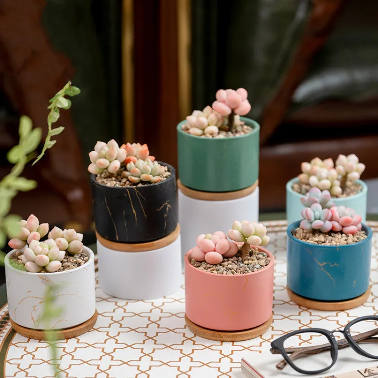 nordic modern designer wooden decorative indoor manufacturer ceramic vertical cheap small flower pot & planterswith drainage