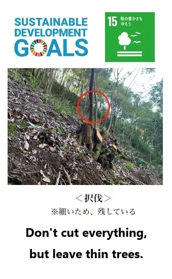 High thermal conductivity prices bbq charcoal export for sale