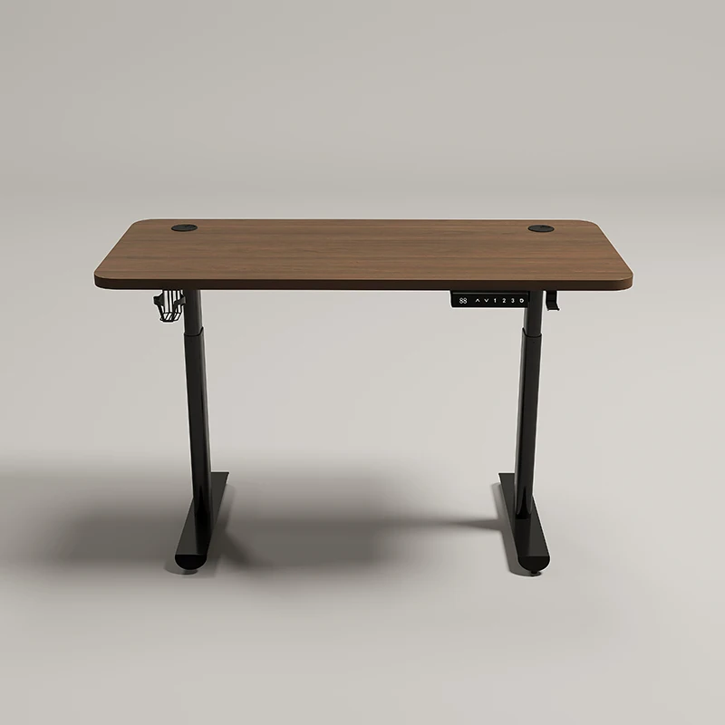 Electric Up And Down Control Dual Motor Computer Portable Table Leg Height Adjustable Home Office Desk