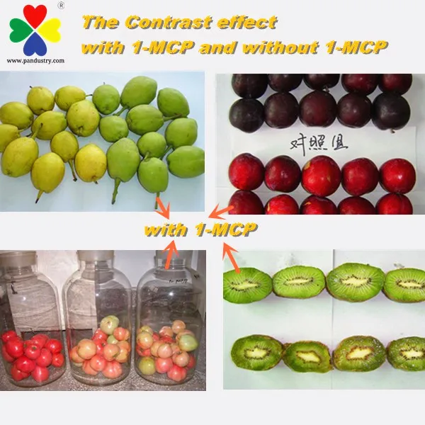 Fresh Keeping Agent 1mcp price 1-mcp 1 Methylcyclopropene 1 MCP Powder