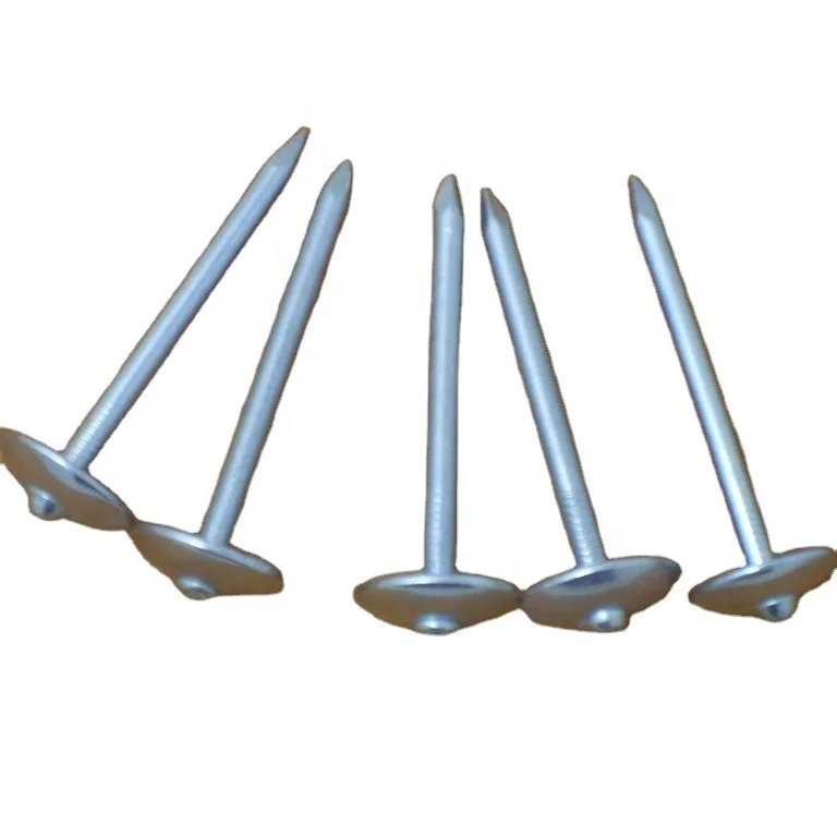 China manufacture roofing nails Cheap price factory directly sale