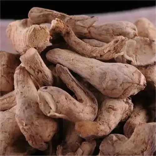 High Quality Shiitake Mushroom Leg Granule Dehydrated Dried Cultivated for Food or Eating Bulk Sale