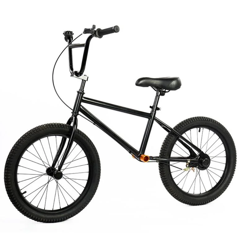 20 Inch Kids Balance Bike No Pedals Height Adjustable Children Bicycle Riding Walking Learning Scooter