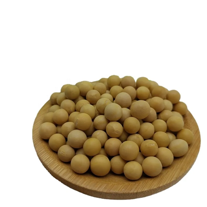 New Crop wholesale soybean seeds China origin bulk soybeans wholesale