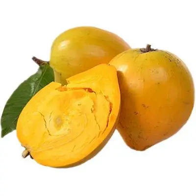 top quality fresh Lucuma nervosa seeds Hot sale fruit seeds for sale Tropical Fruit Tree seed