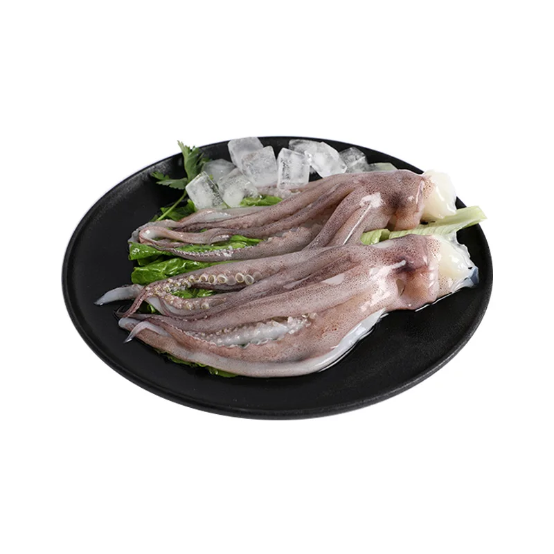 Competitive Price Food Market All Size Available Frozen Calamari Illex Frozen Squid