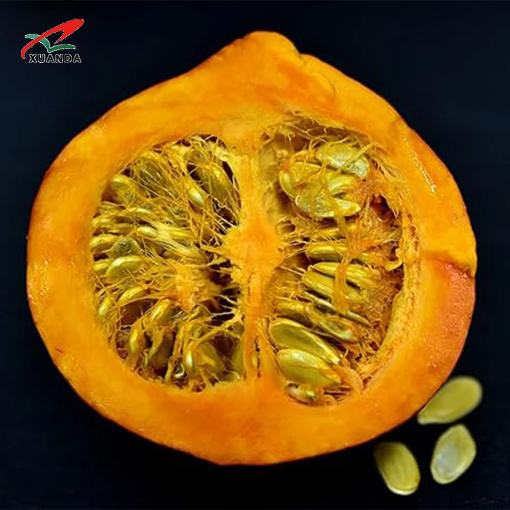 Wholesale Price Shine Skin Pumpkin Seed New Crop Peeled Shelled green Pumpkin Seeds Kernels China Pumpkin Seeds Price