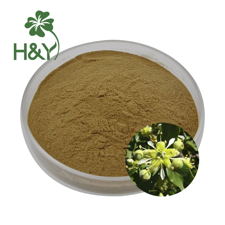 Hot selling Quillaja Saponaria bark extract quillaia bark extract