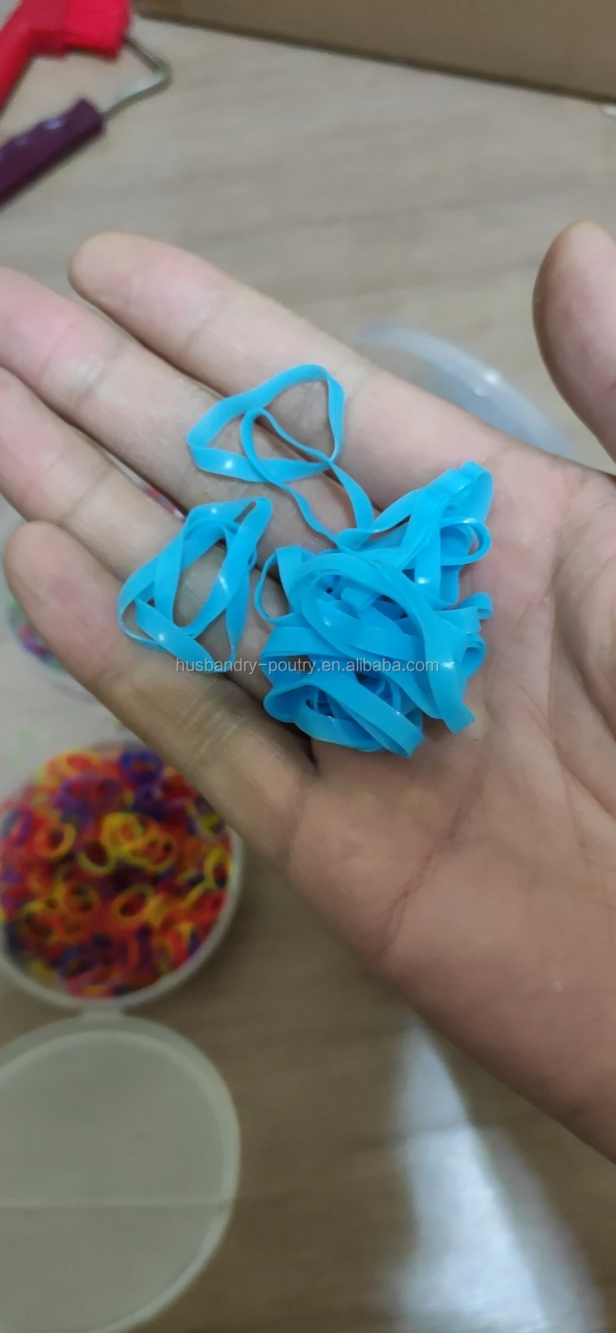 Equine Horse mane Bands and Bracelet for the horse