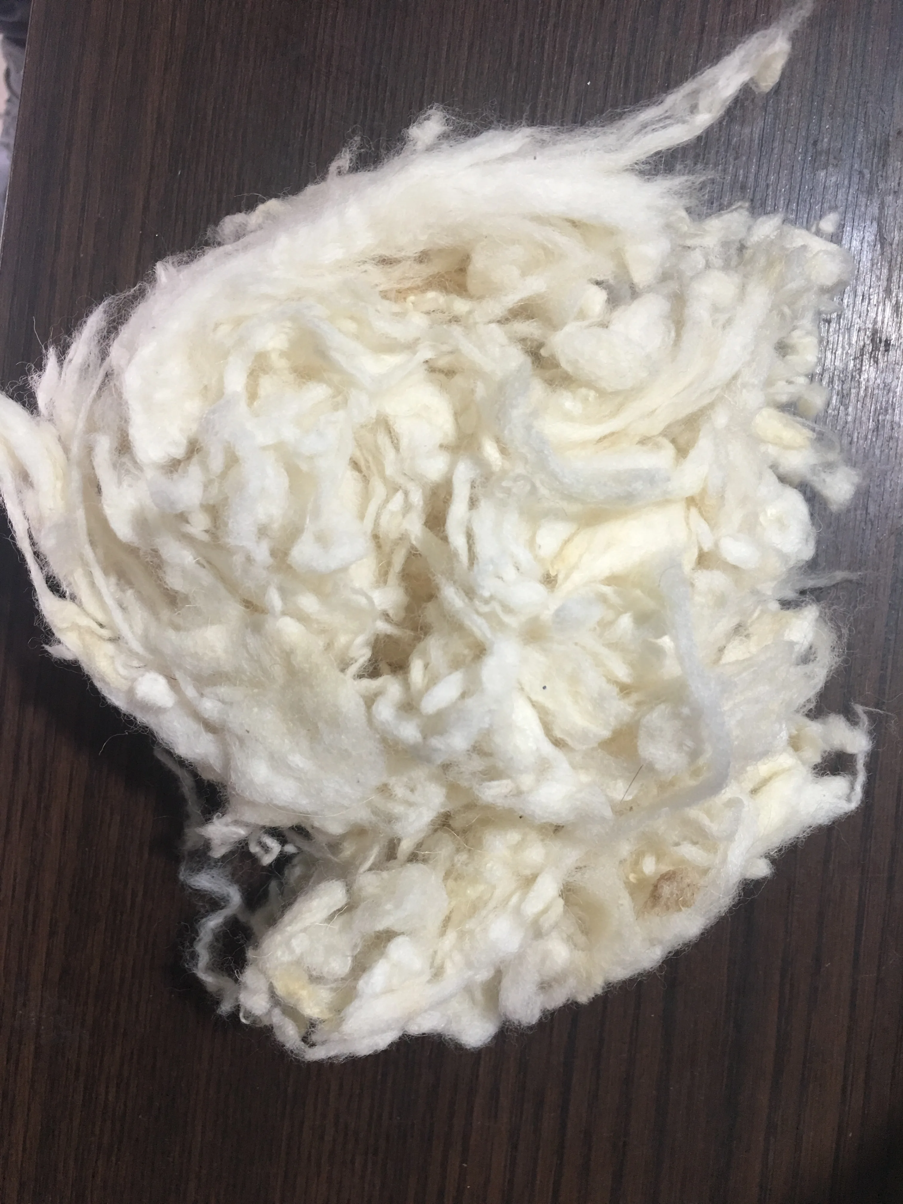 High quality 100% wool Australian wool carding sheep fiber ex-factory price