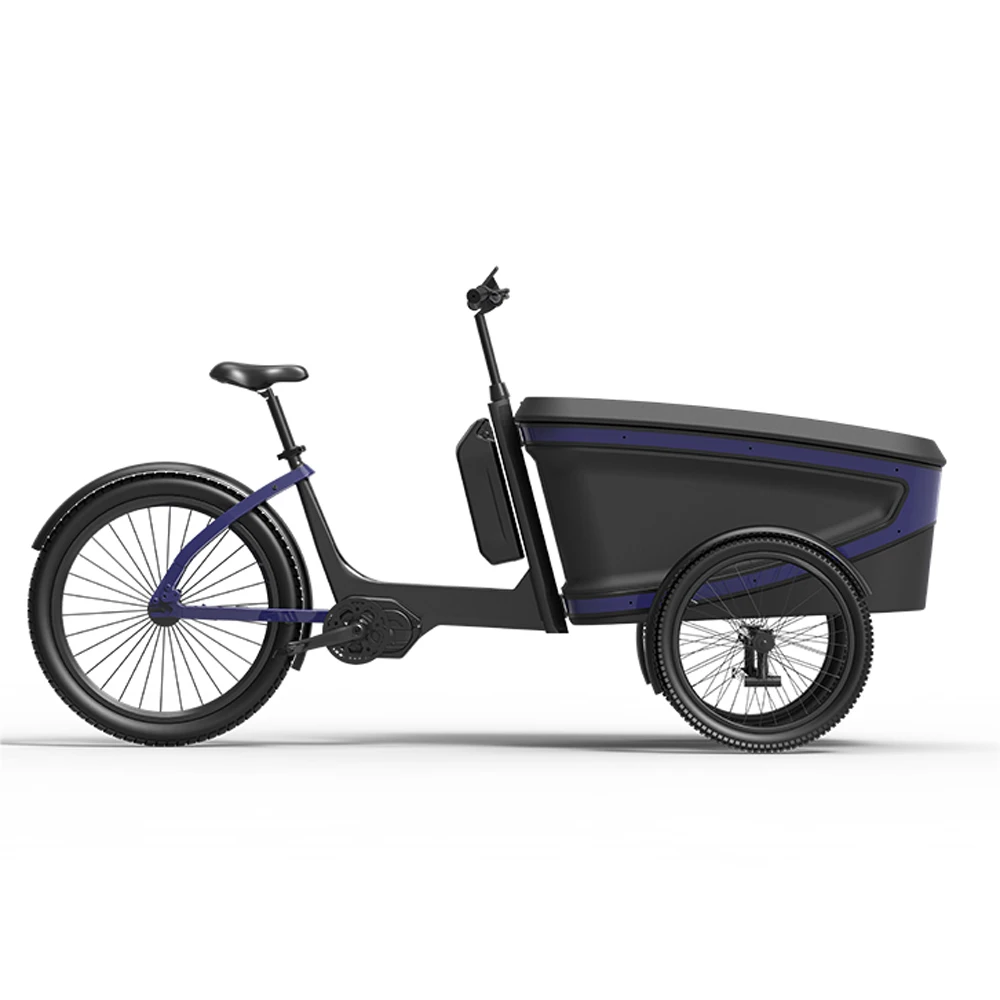 electric bike 3 wheels cargo electric ebike e-cargo family e bicycle epp foam box for adults carry children and baby
