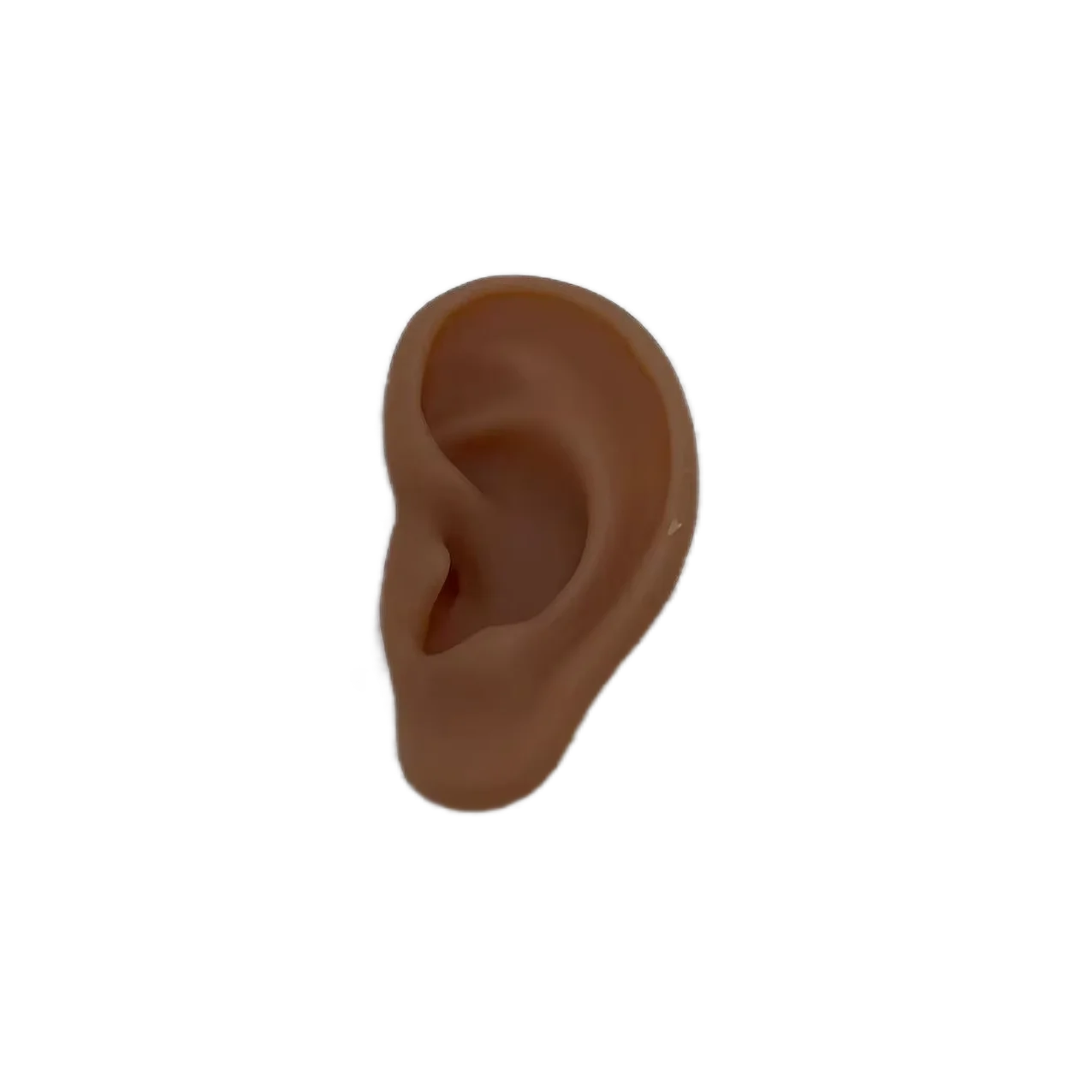 Hot selling custom silicone ear model silicone parts manufacturer