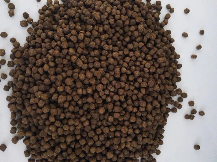 China manufacture Dry type fish food making machine floating pellets fish feed machine screw extruder machine