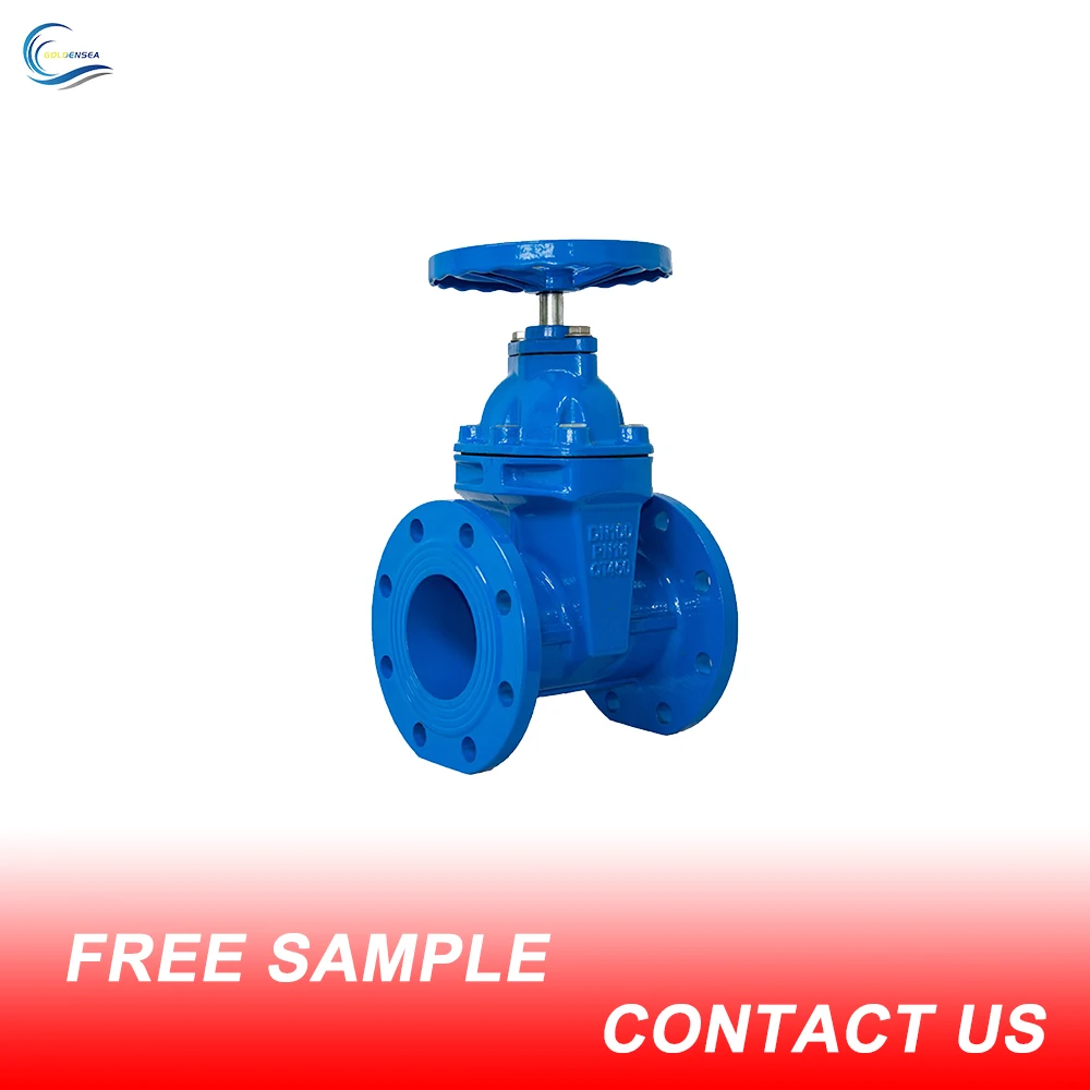 DN100 Cast Iron Water Flange  Gate Valve Price