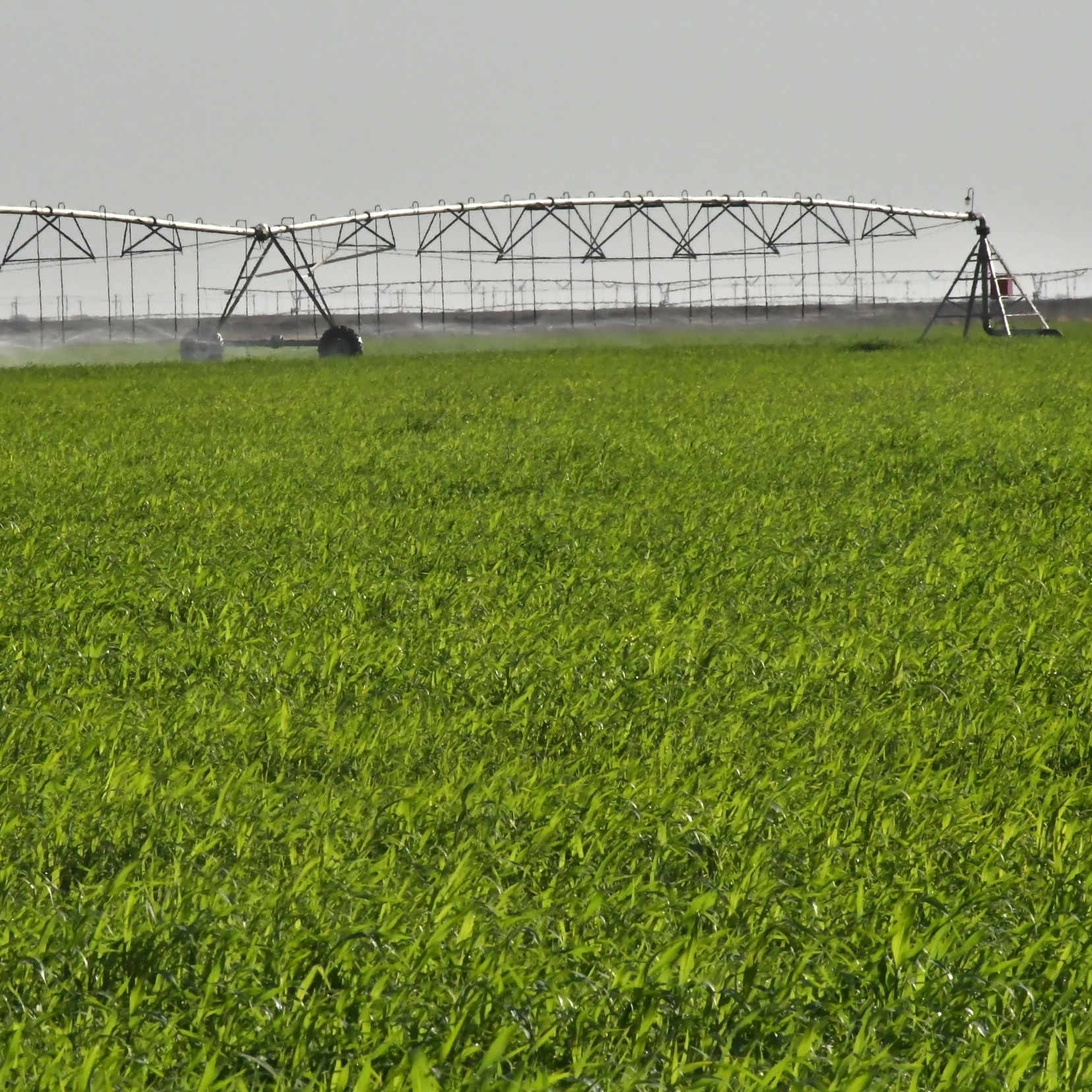 2022 Hot sales  Center Pivot Farm irrigation Systems for big land