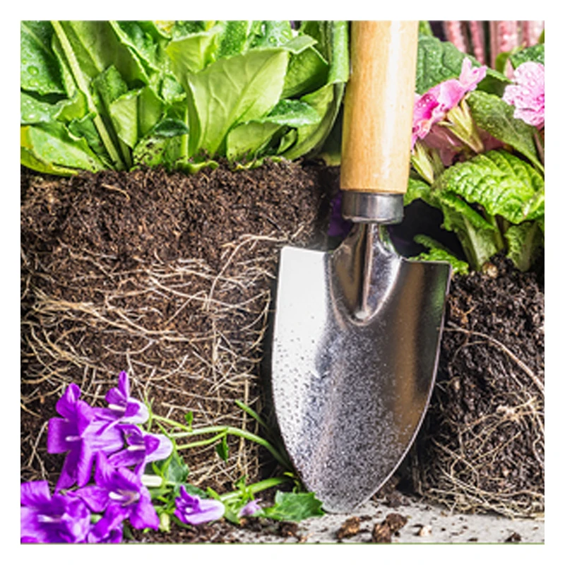 Water soluble seaweed fertilizer liquid plant extract natural organic fertilizer