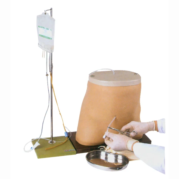 ADA-L64 PVC Peritoneal Dialysis Manikin Medical Science Training Model for Nurses and Schools