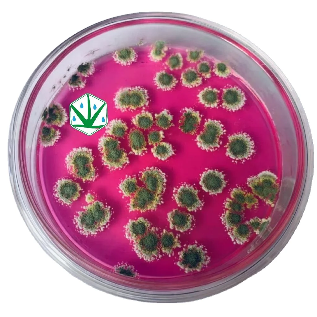 Trichoderma harzianum Agricultural Grade fungal sterilization