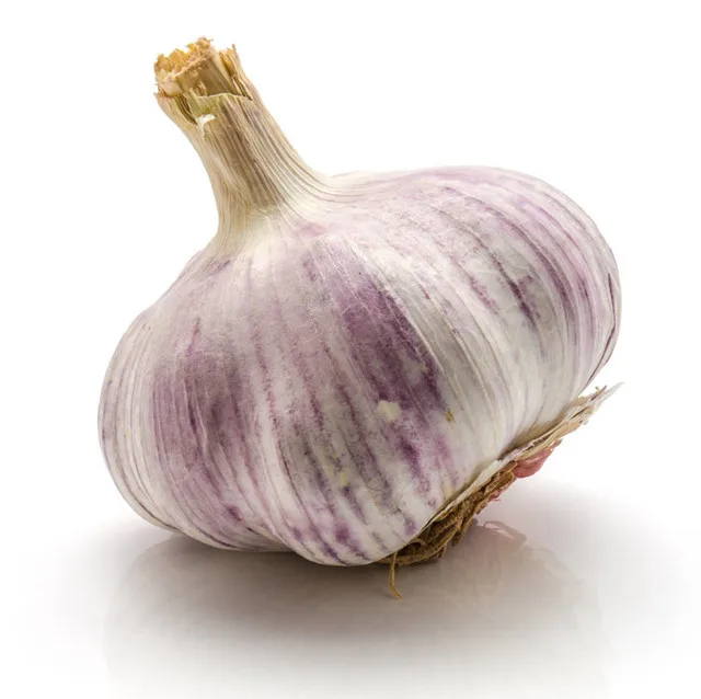 2021 best price wholesell  fresh garlic 6.0cm chinese  normal purple garlic