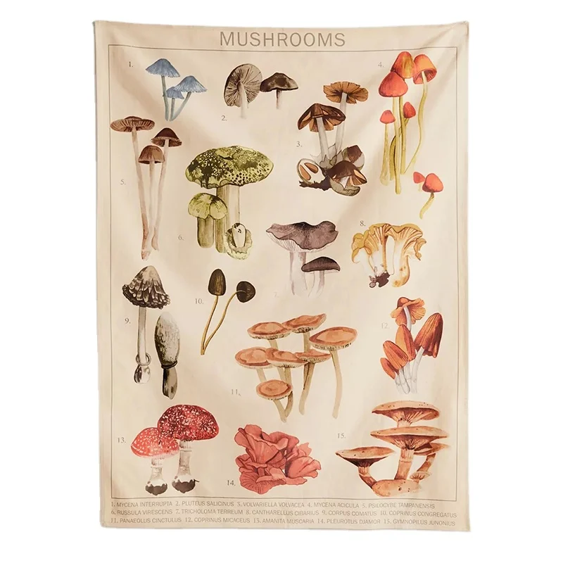 Mushroom Tapestry Wall Decor Mycology Mushroom Champignon Identification Chart Diagram Illustration Wall Art Boho Decor