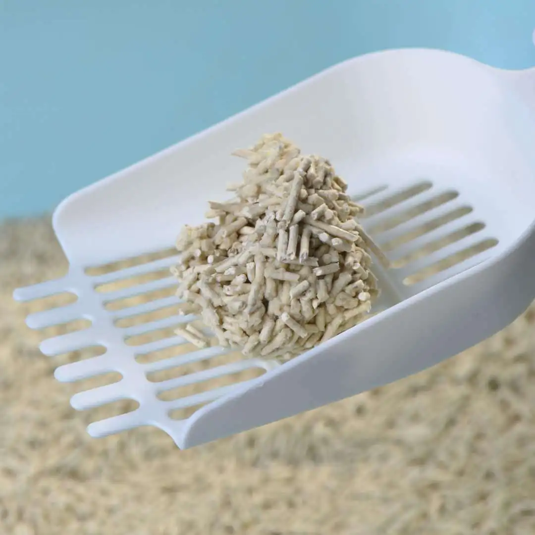 Wholesale Low Price Custom Ultra Absorbent Dust Free strip shape Litter 2kg 5kg 10kg Bentonite Tofu Cat Litter Sand