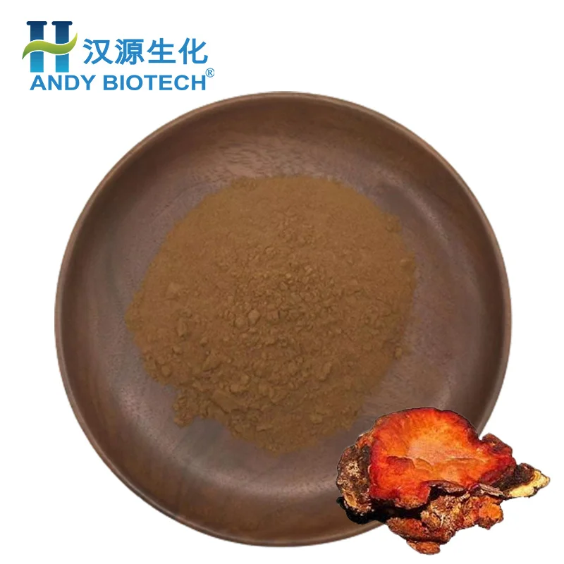 New Batch 20% Polysaccharides Powder Antrodia Cinnamomea Extract Antrodia Camphorata Mushroom Extract