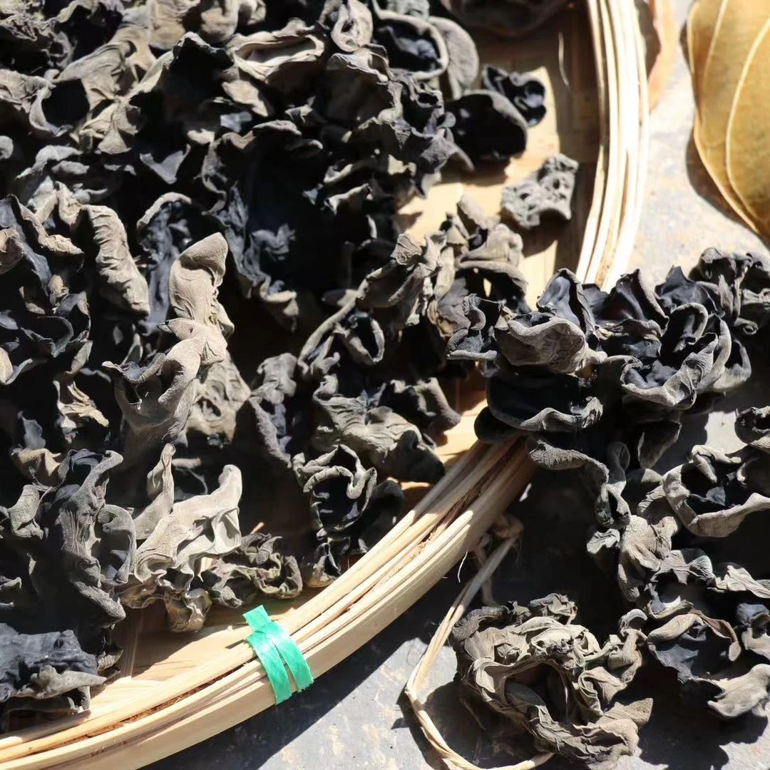 Здоровые натуральные органические сушеные грибы из ветки тутового дерева