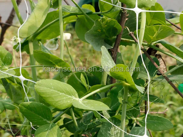 TN-1130 Factory Direct Cucumber Plant Support Net Climbing