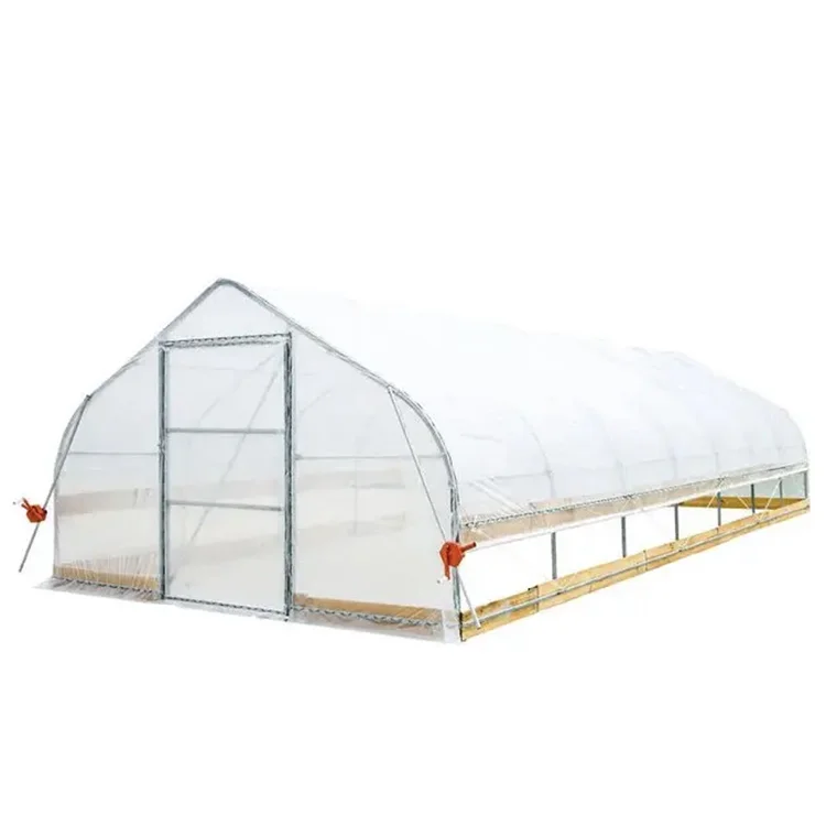 Single-Span Greenhouse hydroponics  Tunnel Plastic Film Cover Galvanized Steel Frame single  span greenhouse