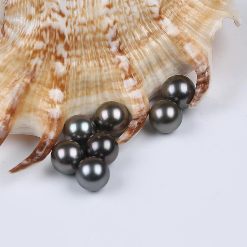 10-11mm AA Grade Natural Real Genuine Seawater Peacock Black Round Loose Tahiti Tahitian Sea Pearl Price