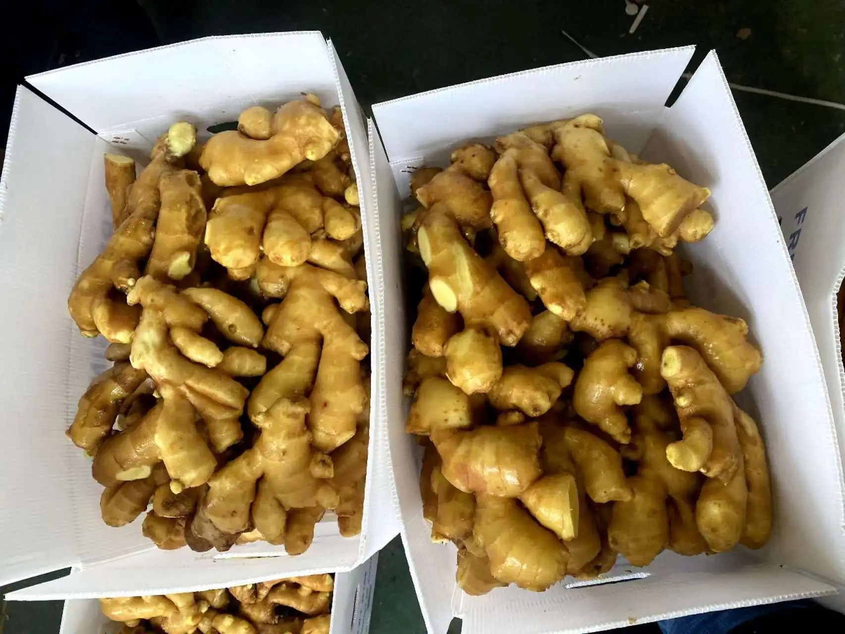 Organic Ginger USDA certification Dried Ginger Supplier Fresh Ginger Pvc Carton Packaging For Wholesale