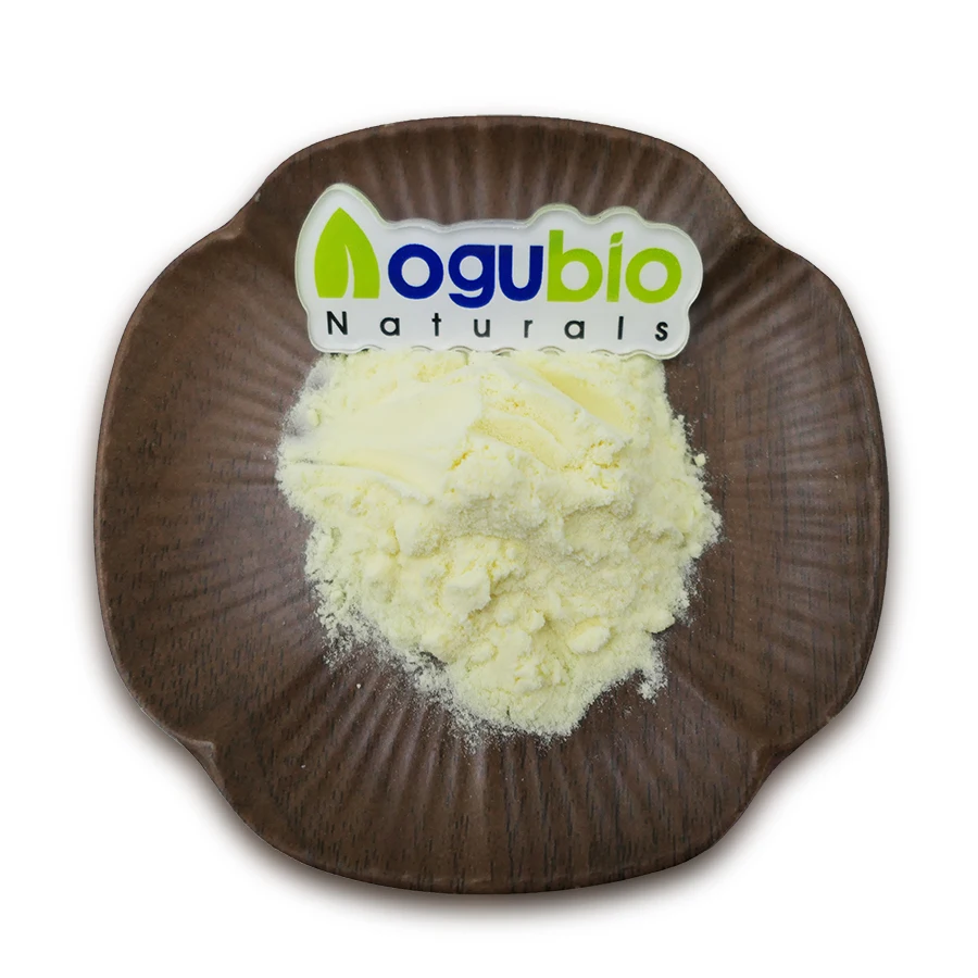 Freeze dried orange powder Factory supply natural Freeze dried orange powder