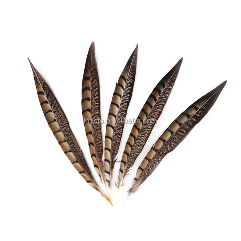 DIY Crafts Millinery Hat fascinators Natural Striped Lady Amherst Pheasant Tail Feather