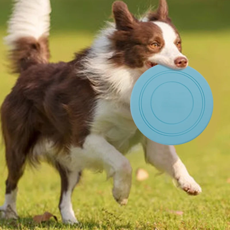 HO sales Outdoor Silicone Pet Toys Soft Durable Reusable Silicone TPR Round Flying Disc Dogs Toys