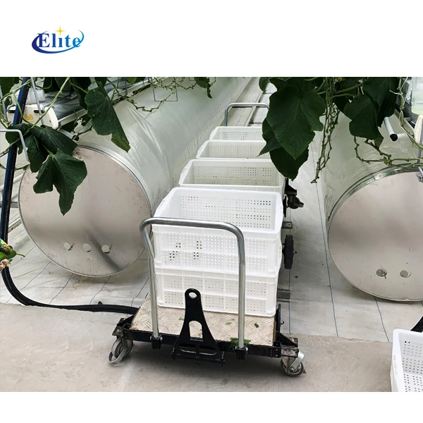 Single-layer harvest trolley for tomato picking simple tool cart pipe rail transport tools for greenhouse