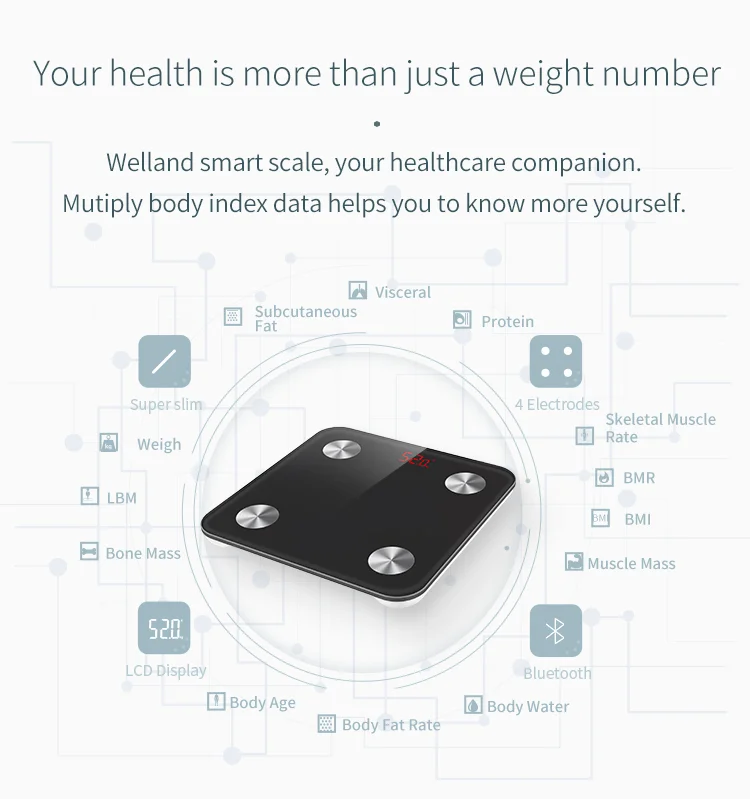 Hot Selling Electronic Smart Digital Bathroom Scale with App Display Scales  Weight Measuring Basic Body Analysis Scale