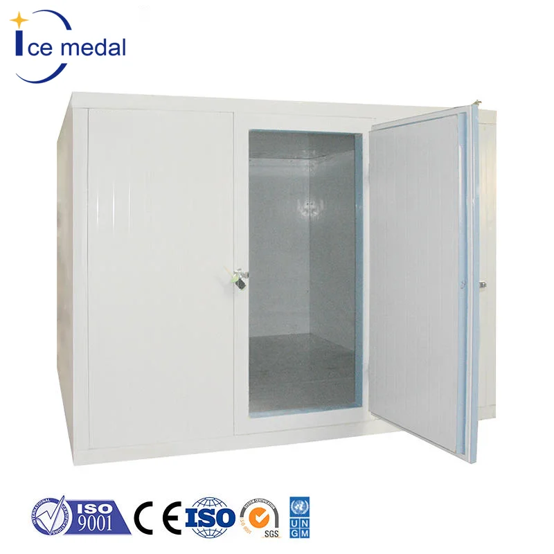 Container Cool storage cold storage room for ice cream storage